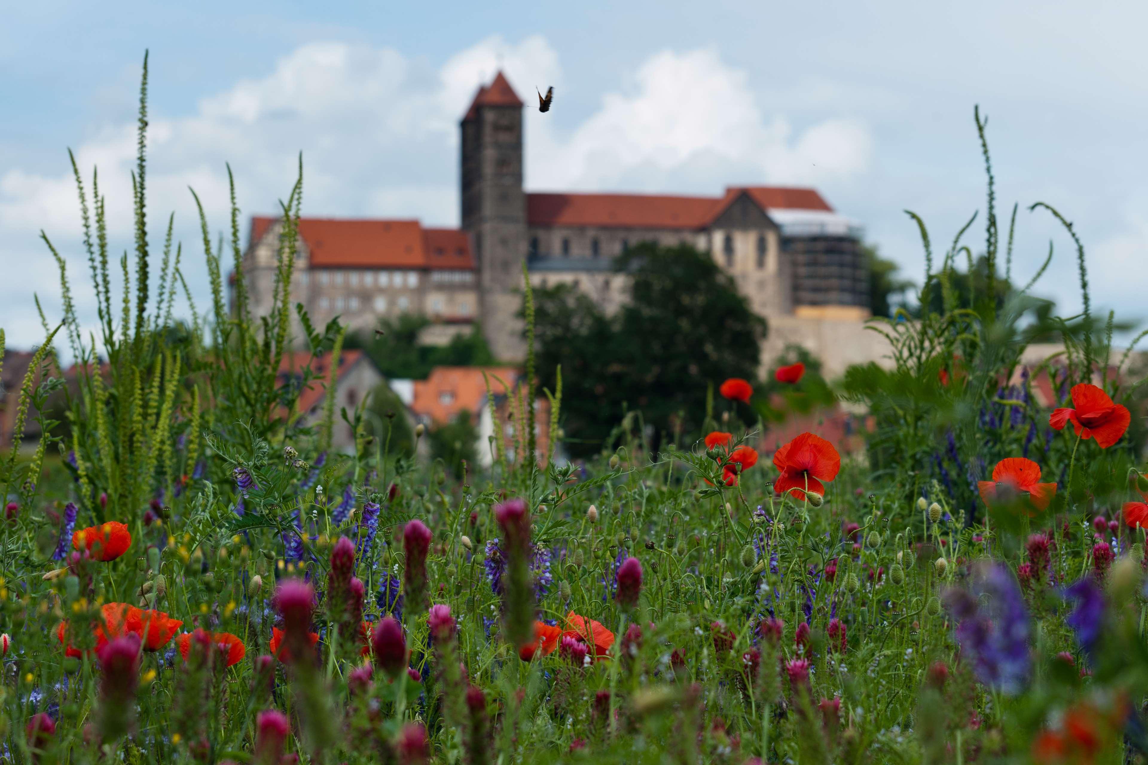 Western Schlossmuehle 4* Quedlinburg
